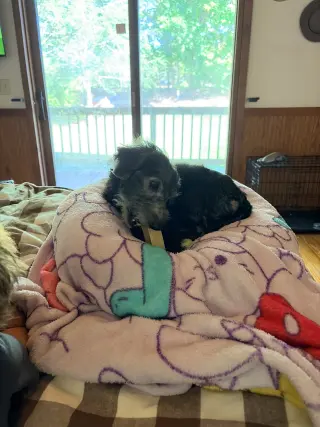 Sammie