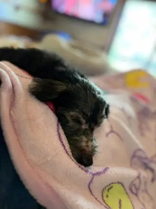Sammie