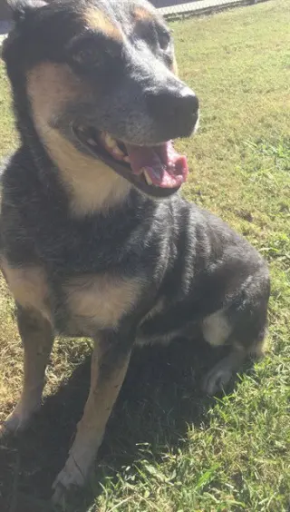 EVA