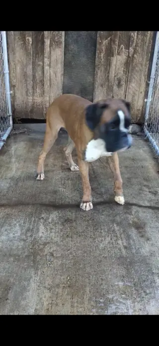 Salt: Not at the shelter