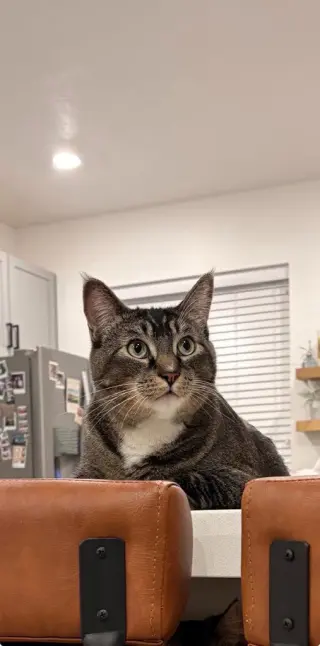 Walter