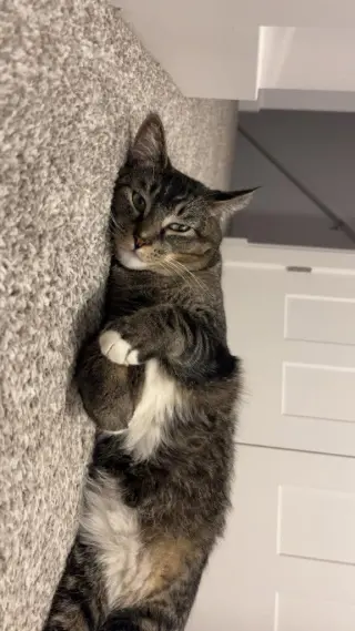 Walter