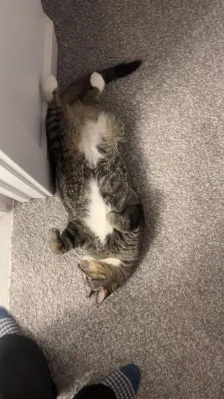 Walter