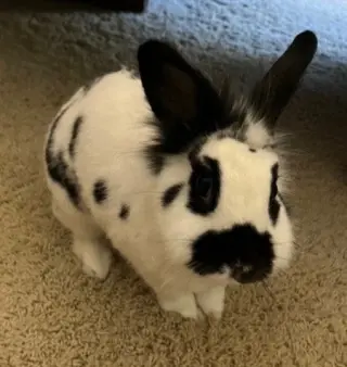 Gary aka Griffen