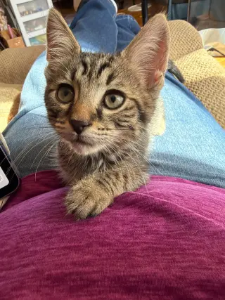 Ezra