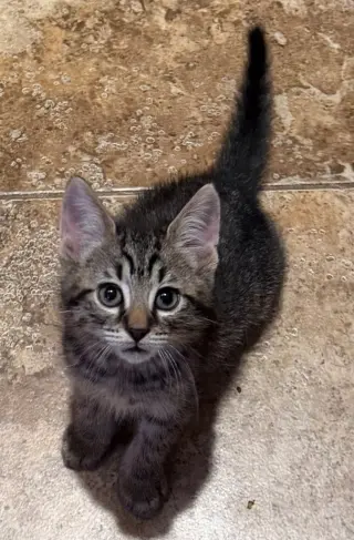 Ezra