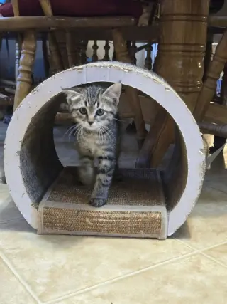 Milos