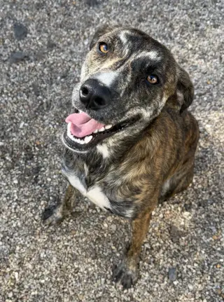 Mulan- Stunning girl
