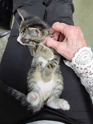 Benny