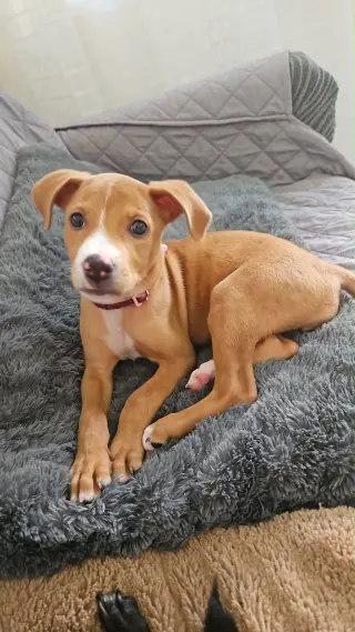 Lupita