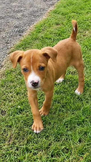Lupita