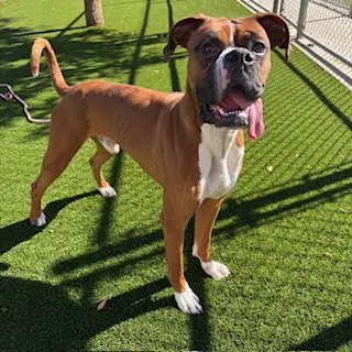OTIS