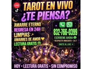 🔮✨ VIDENTE Y CONSEJERA NINA | LECTURAS DEL TAROT ✨🔮