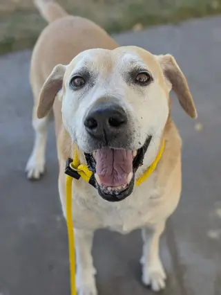 Sadie Anne