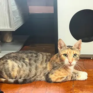 Mama Hellen