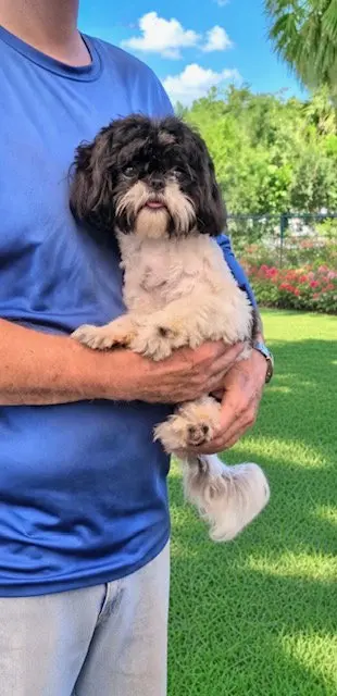Gracie Von