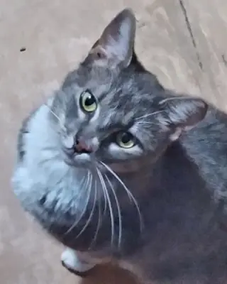 Skye