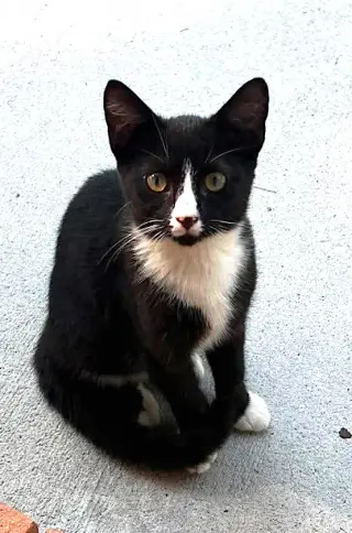 Luna