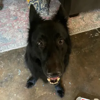 Onyx