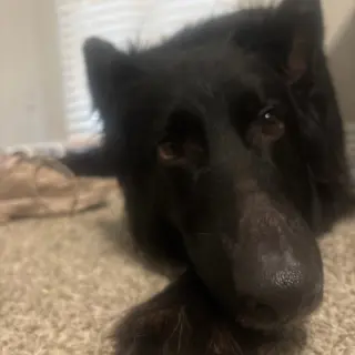 Onyx