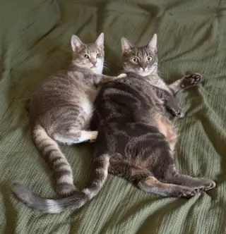 Mia and Leo (Courtesy Post)