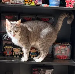 Mia and Leo (Courtesy Post)