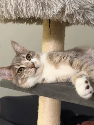 Mia and Leo (Courtesy Post)