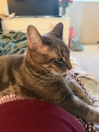 Mia and Leo (Courtesy Post)