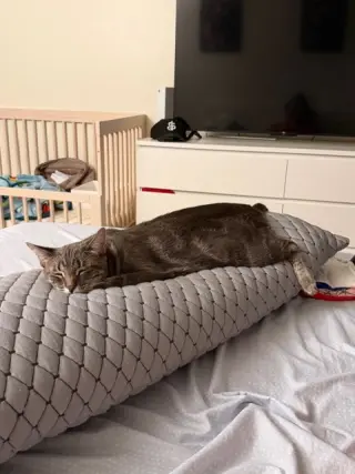 Mia and Leo (Courtesy Post)