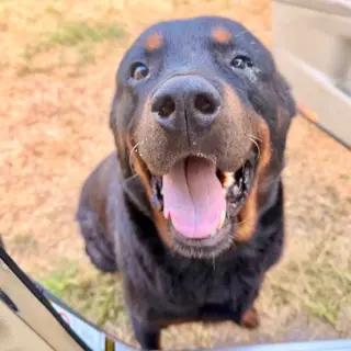 Cooper