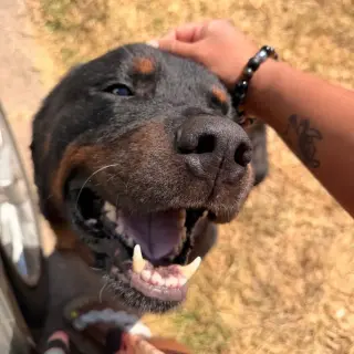 Cooper
