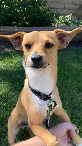 Nikko