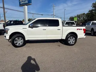 Ford F-150 2020 4x4 Platinum 4dr SuperCrew 5.5 ft. SB