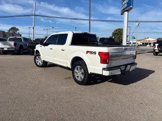 Ford F-150 2020 4x4 Platinum 4dr SuperCrew 5.5 ft. SB