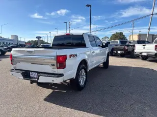 Ford F-150 2020 4x4 Platinum 4dr SuperCrew 5.5 ft. SB