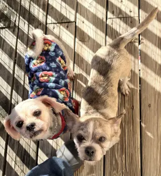 Radar