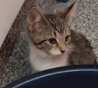 Sabrina * IN FOSTER *