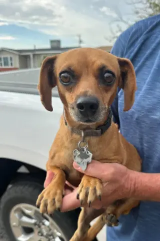 Oakley in TX