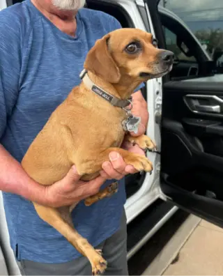 Oakley in TX