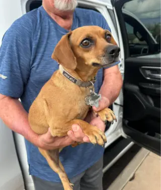 Oakley in TX