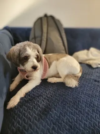 Bailey