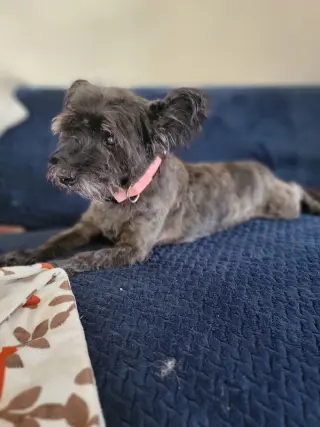 Gracie Lou