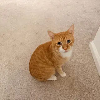 Sid