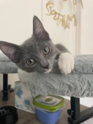 Binky