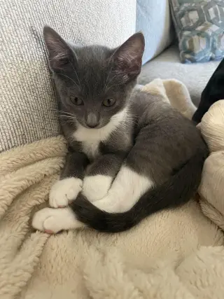 Binky