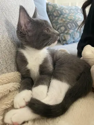 Binky