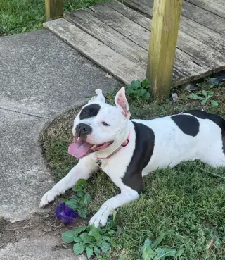 Mia