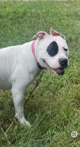 Mia