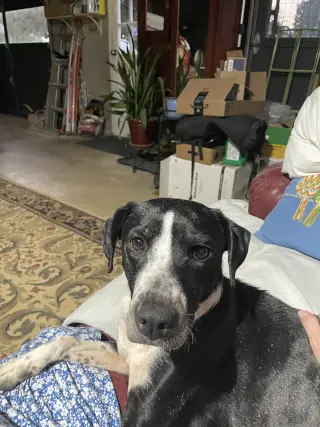 Zoey