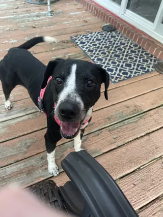 Zoey